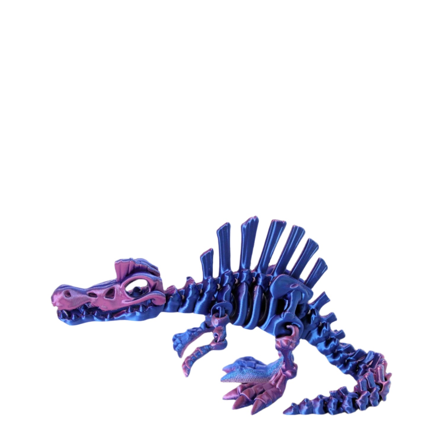 Skelly Spinosaurus