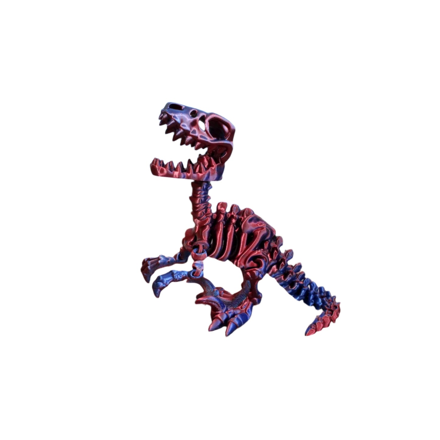 Skelly Raptor - Articulated Toy - HL Designs - SR - PLA - MED - BR