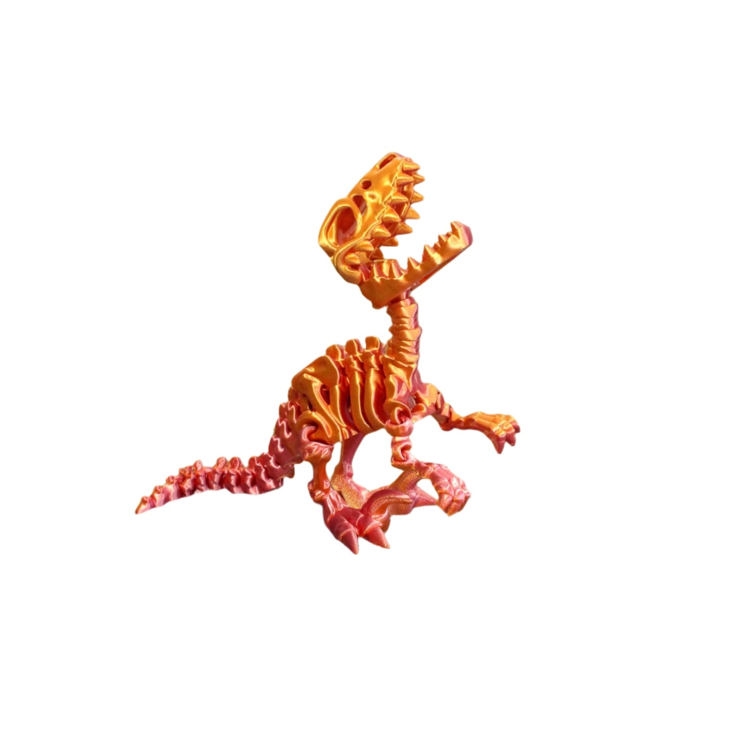 Skelly Raptor - Articulated Toy - HL Designs - SR - PLA - MED - PG