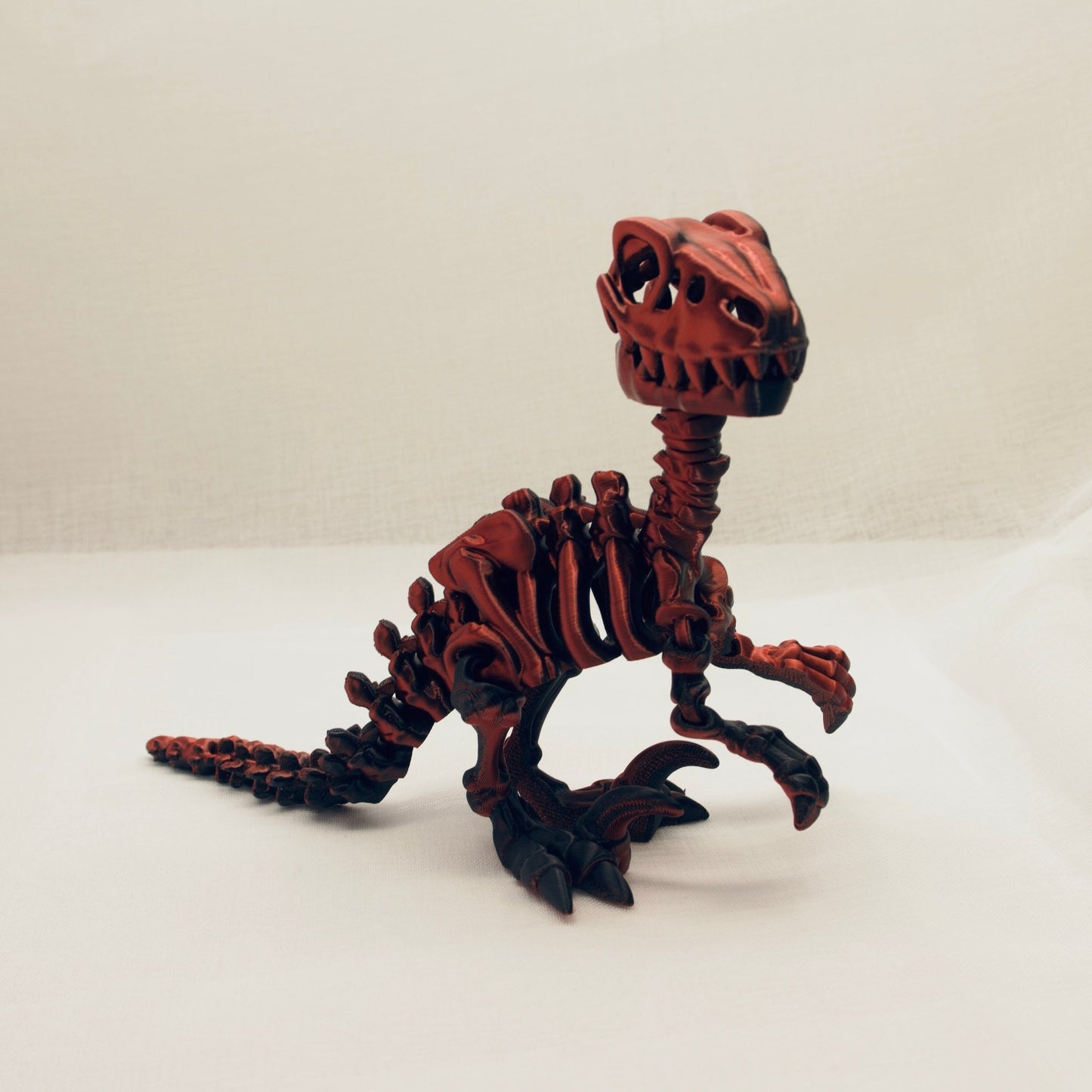 Skelly Raptor - Articulated Toy - HL Designs - SR - PLA - MED - RB