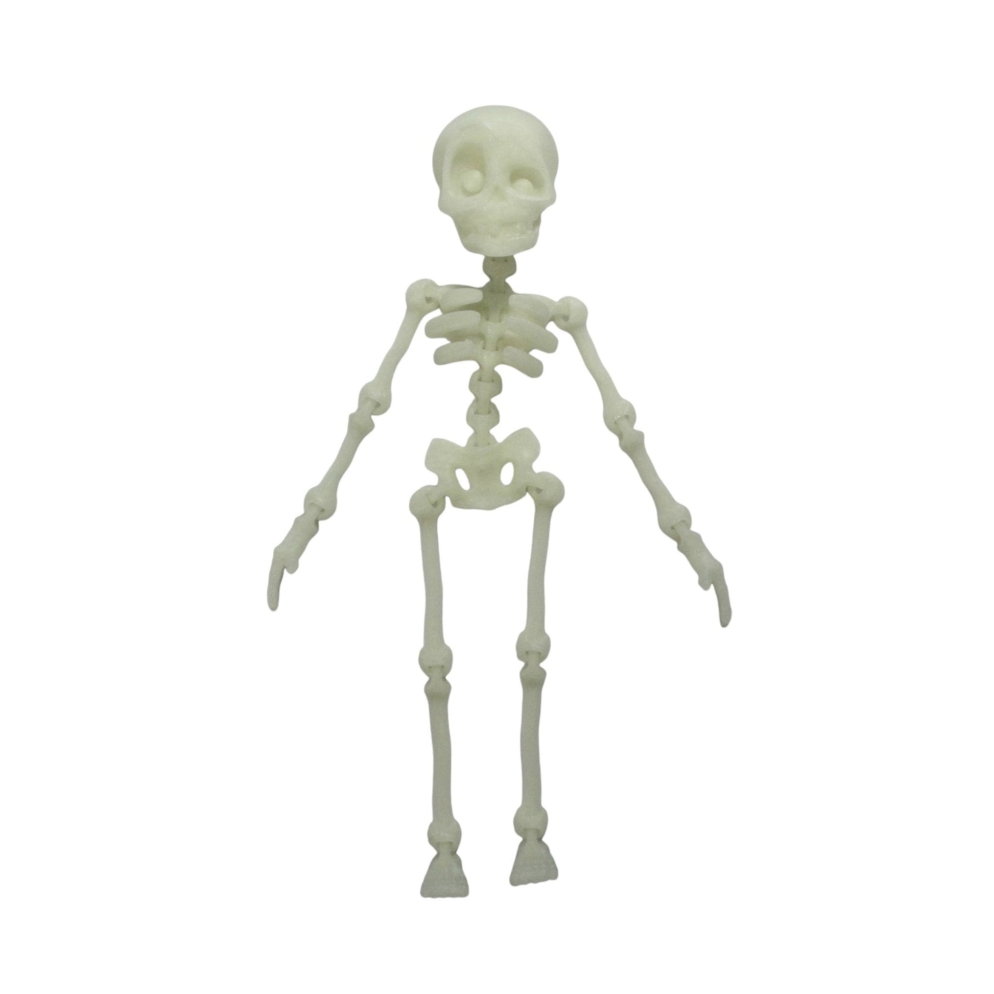 Glow In The Dark Skeleton - HL Designs - GITDS - PLA - SKE