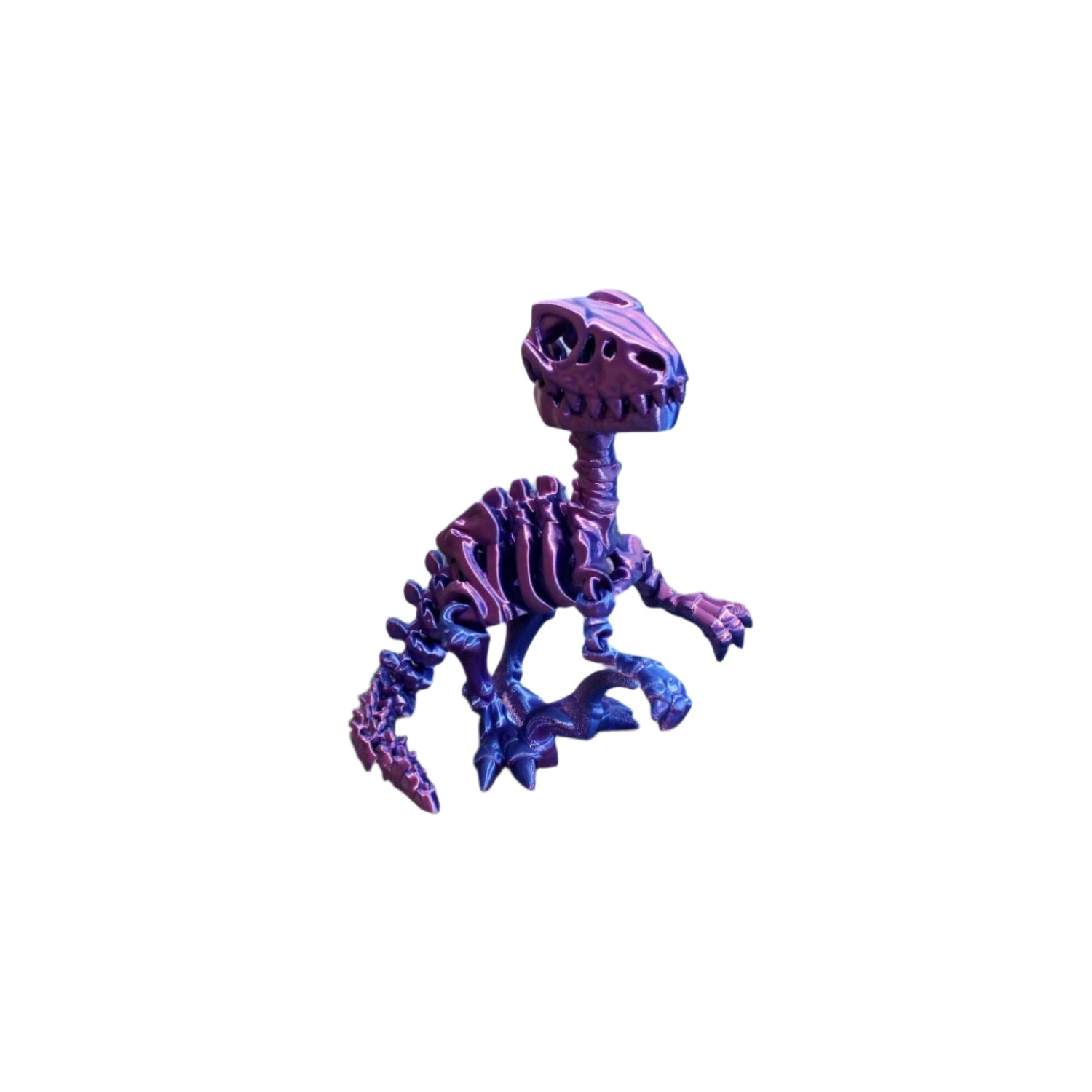 Skelly Raptor - Articulated Toy - HL Designs - SR - PLA - MED - BM